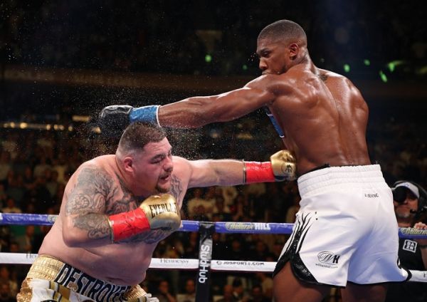 Anthony Joshua knocks down Andy Ruiz Jr in the third round during their IBF/WBA/WBO heavyweight title fight at Madison Square Garden on June 01, 2019 in New York City. PHOTO | AFP