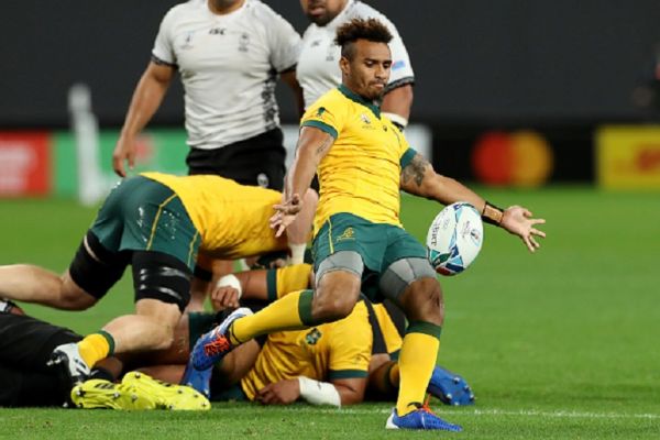 Will Genia of Australia kicks the ball during the Rugby World Cup 2019 Group D game between Australia and Fiji at Sapporo Dome on September 21, 2019 in Sapporo, Hokkaido, Japan. PHOTO/ GETTY IMAGES